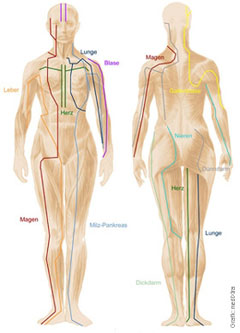 meridiánová masáž - ilustrační obrázek